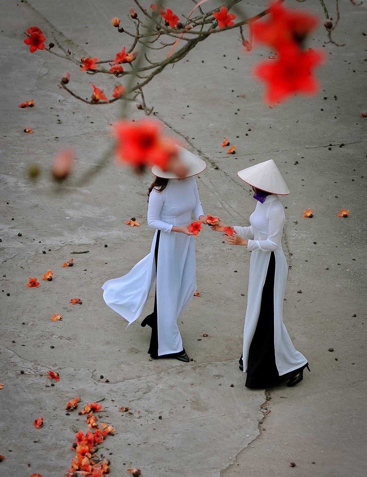 Hoa gao thang 3 anh 26