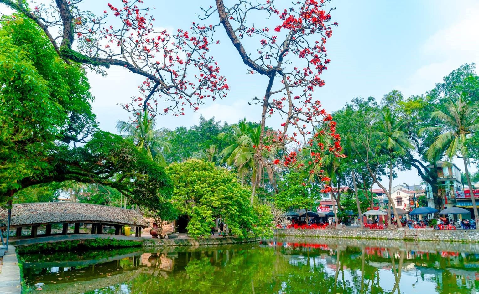 Hoa gao thang 3 anh 32