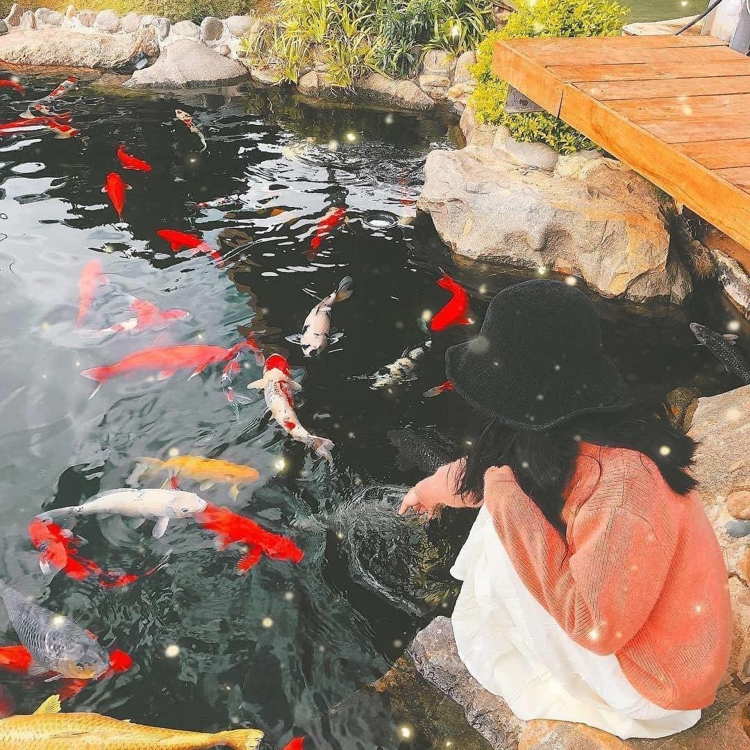 Du lich Da Lat anh 10