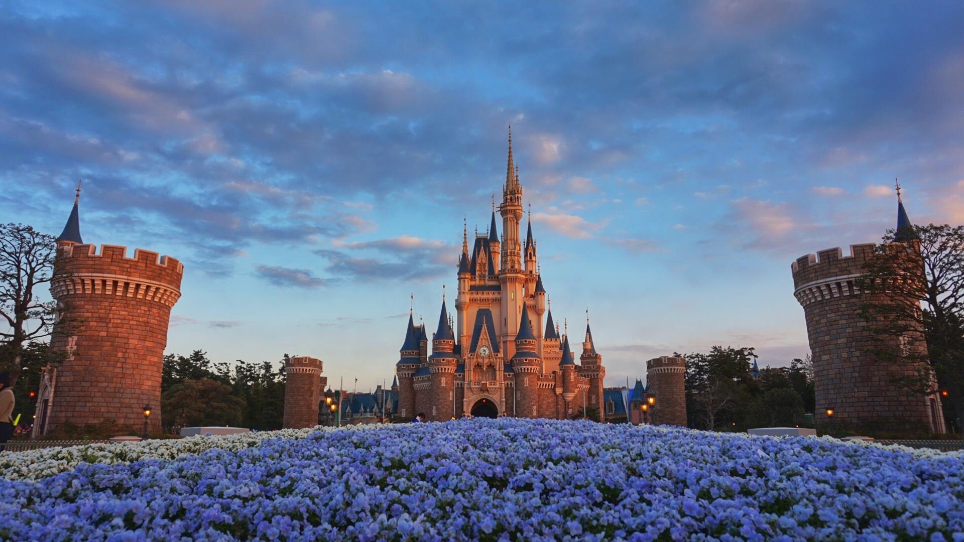 Cong vien Disneyland anh 5