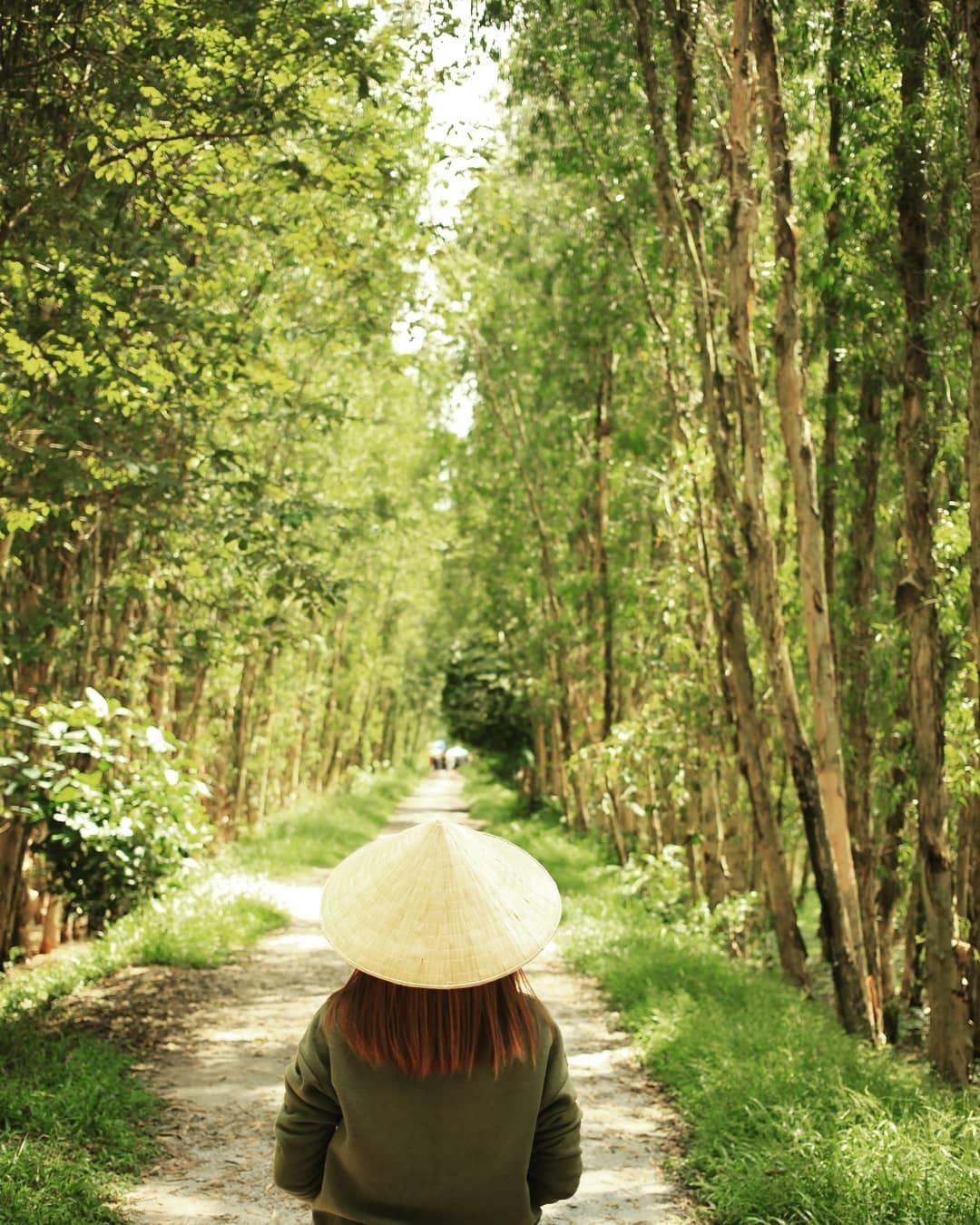 Du lich Viet Nam anh 18