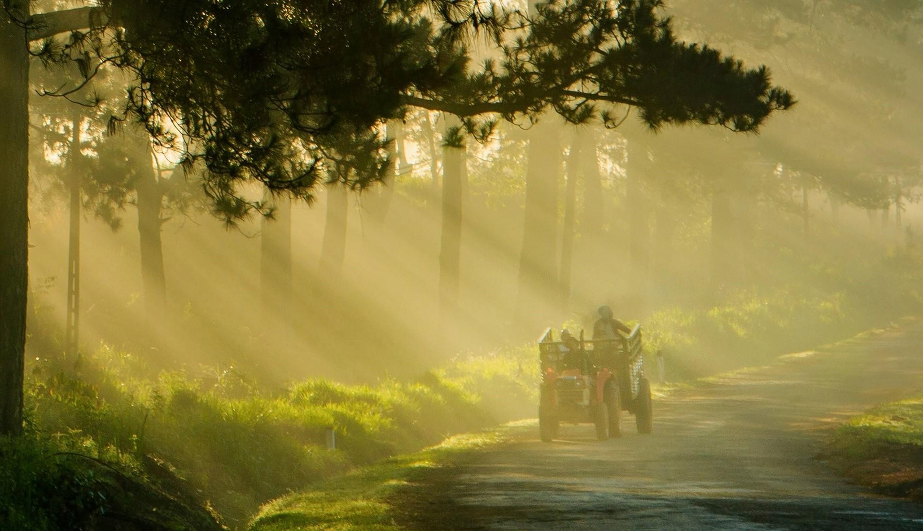 Da Lat mu suong anh 1