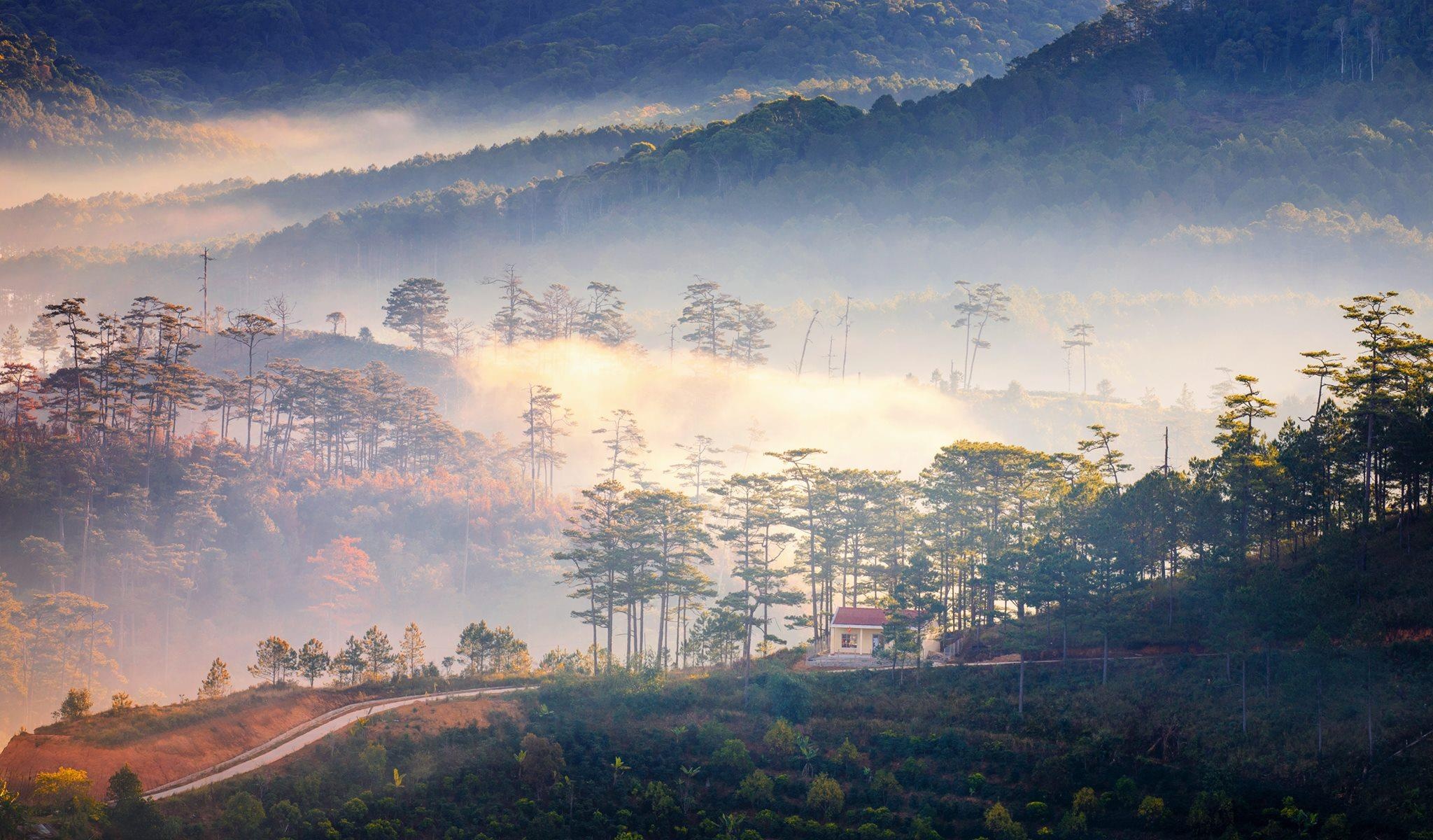 Da Lat mu suong anh 7