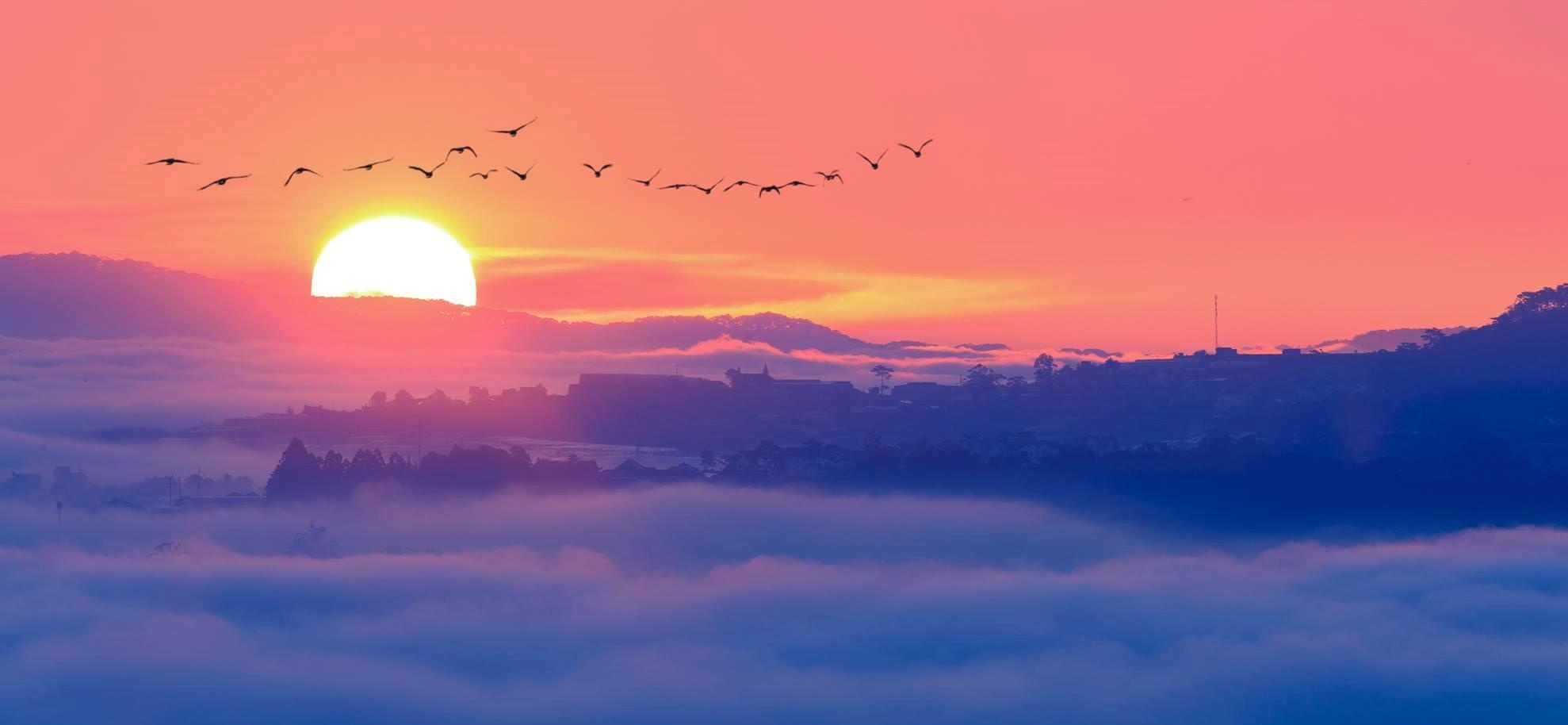 Da Lat mu suong anh 18