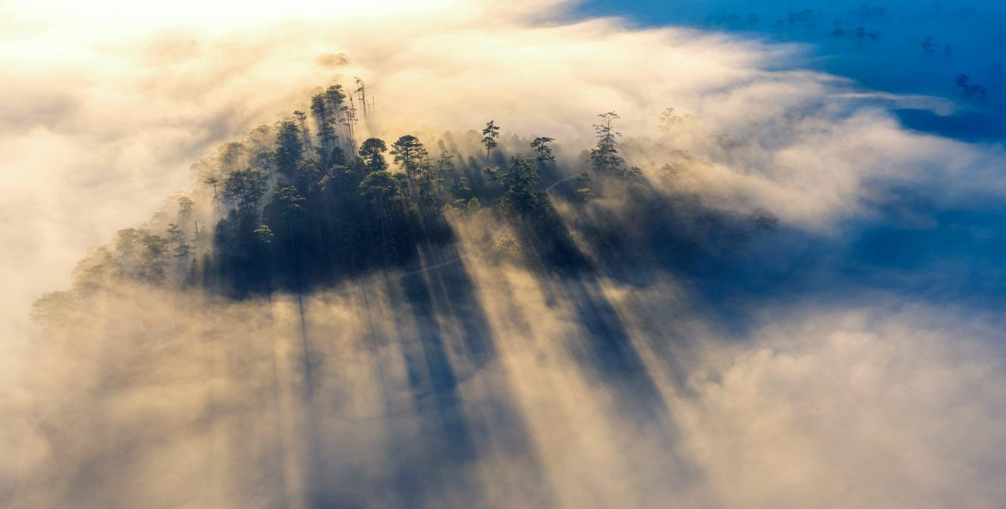 Da Lat mu suong anh 15