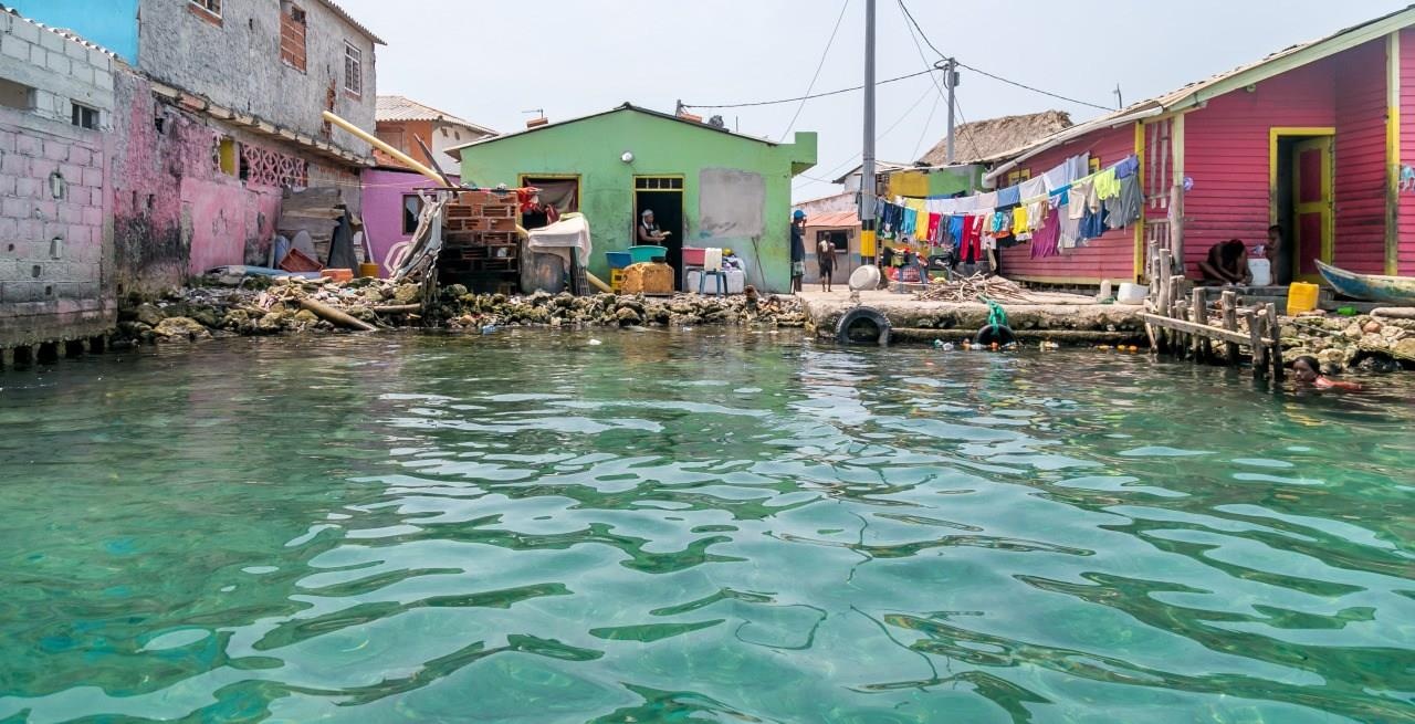 Hon dao khong co muoi anh 2