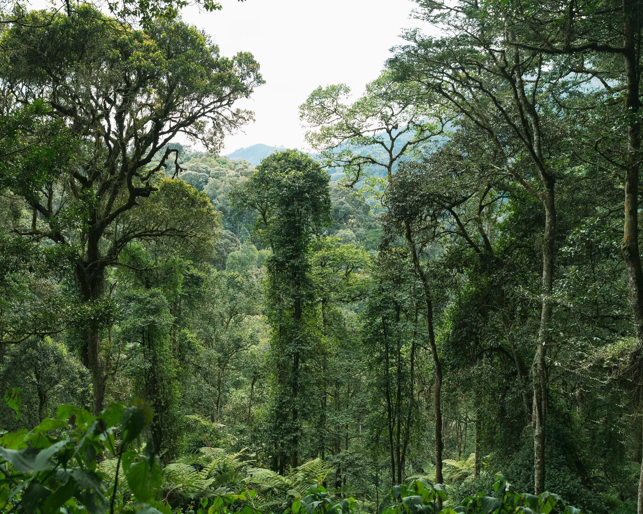 Du lich the gioi anh 2