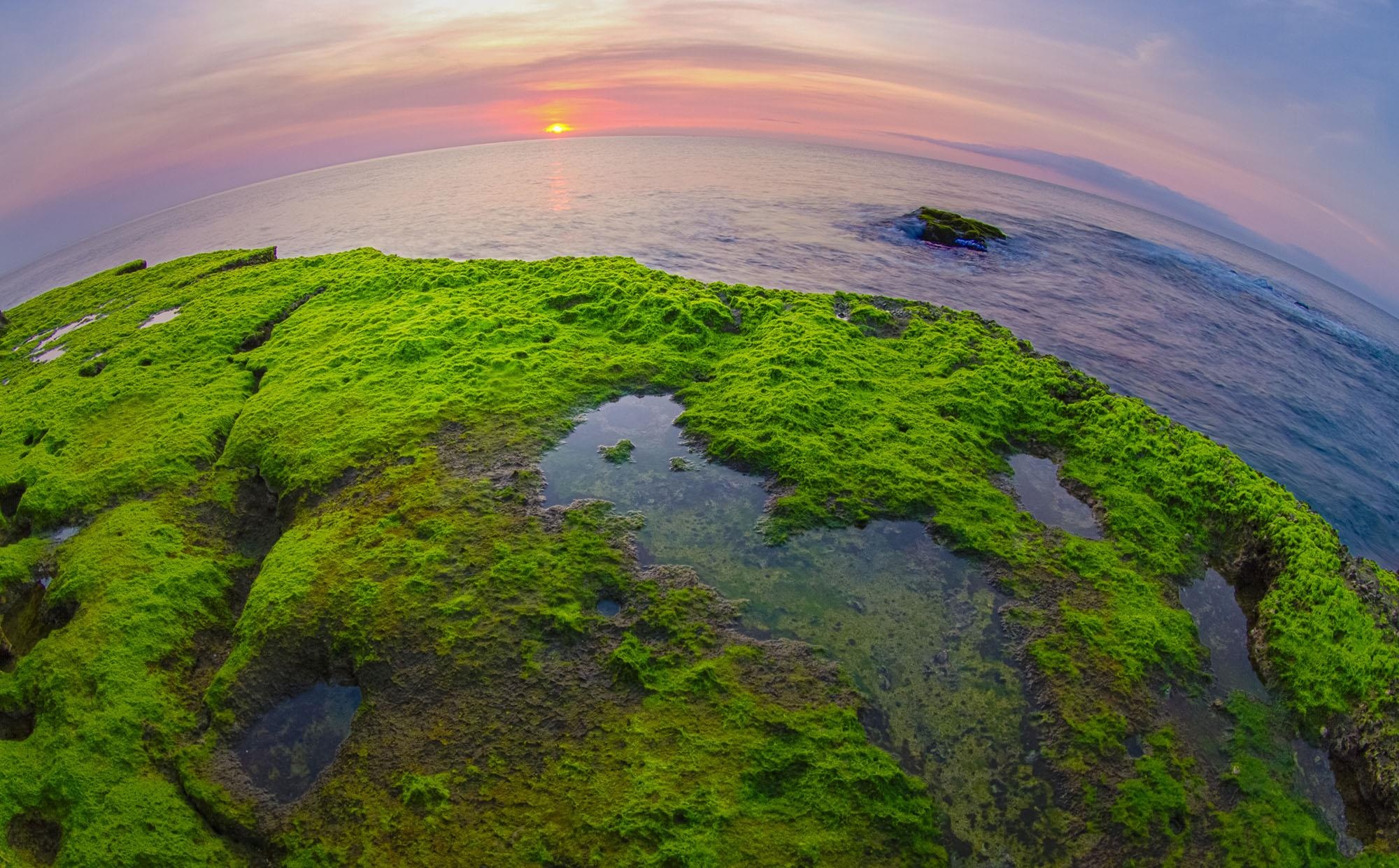 Du lich Ninh Thuan anh 7