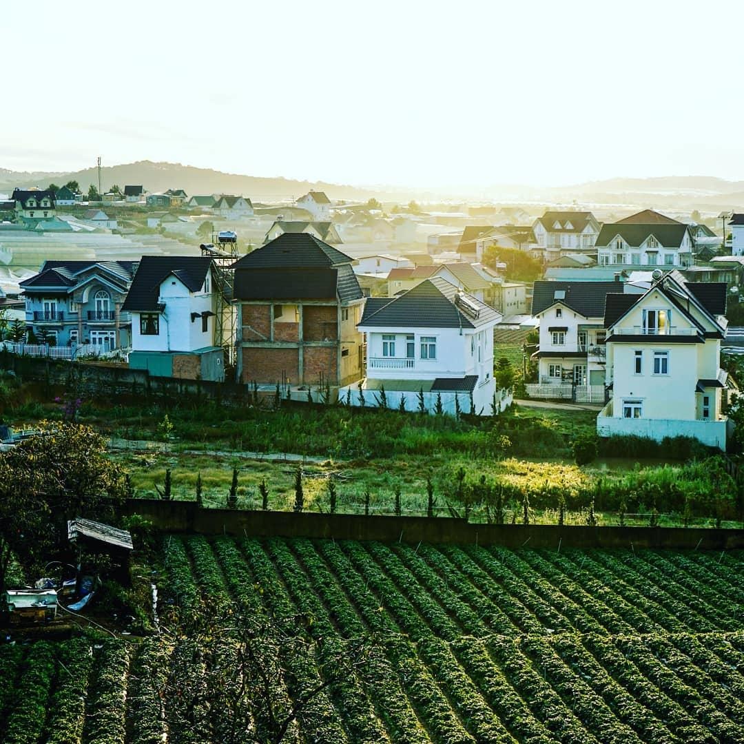 Du lịch Đà Lạt ảnh 1 Du lich Da Lat anh 1