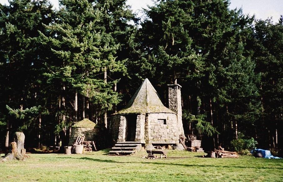 Ngoi nha Harry Potter anh 5