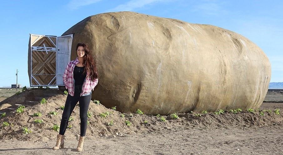 Khach san khoai tay anh 7