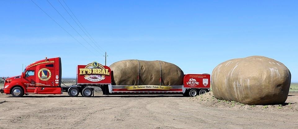 Khach san khoai tay anh 8