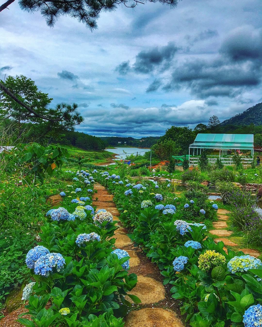 Duong ham dieu khac anh 14