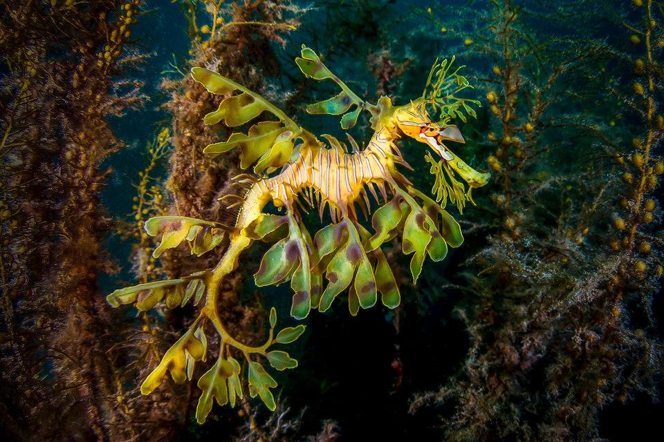 Dia diem lan bien anh 1