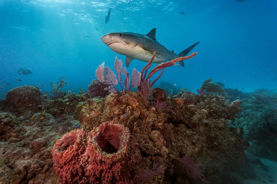 Dia diem lan bien anh 11