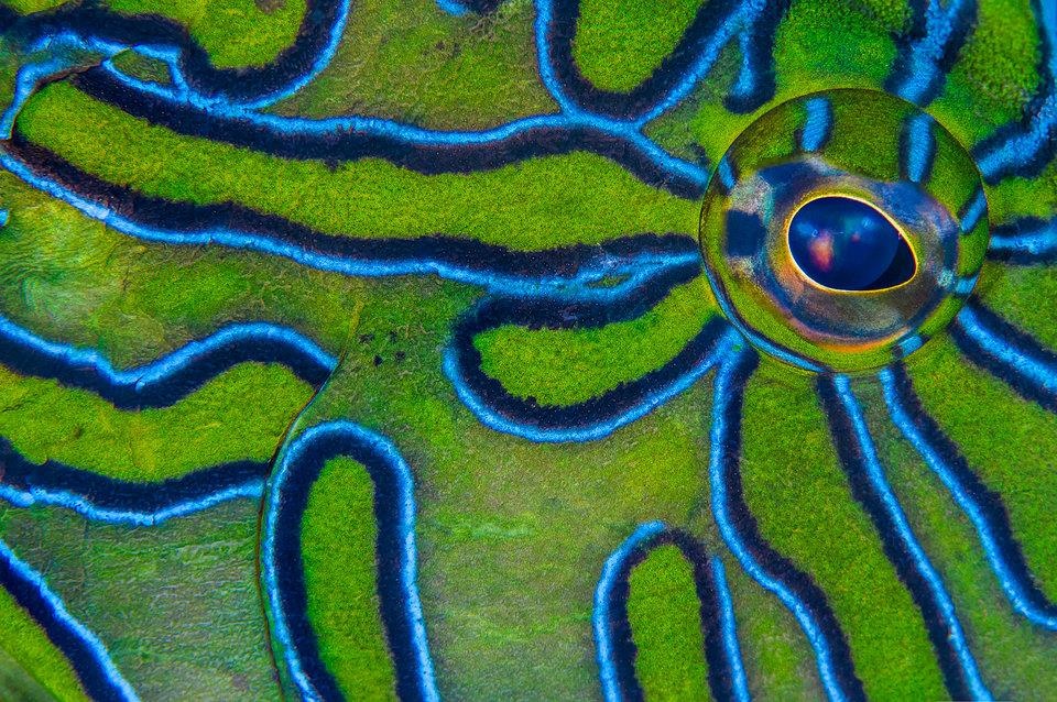 Dia diem lan bien anh 8