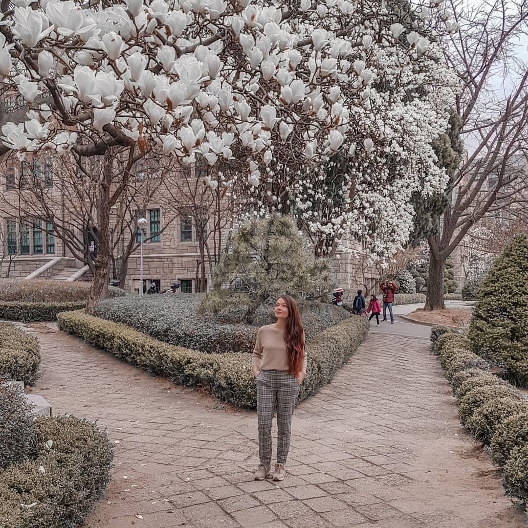 Du lich Han Quoc anh 7