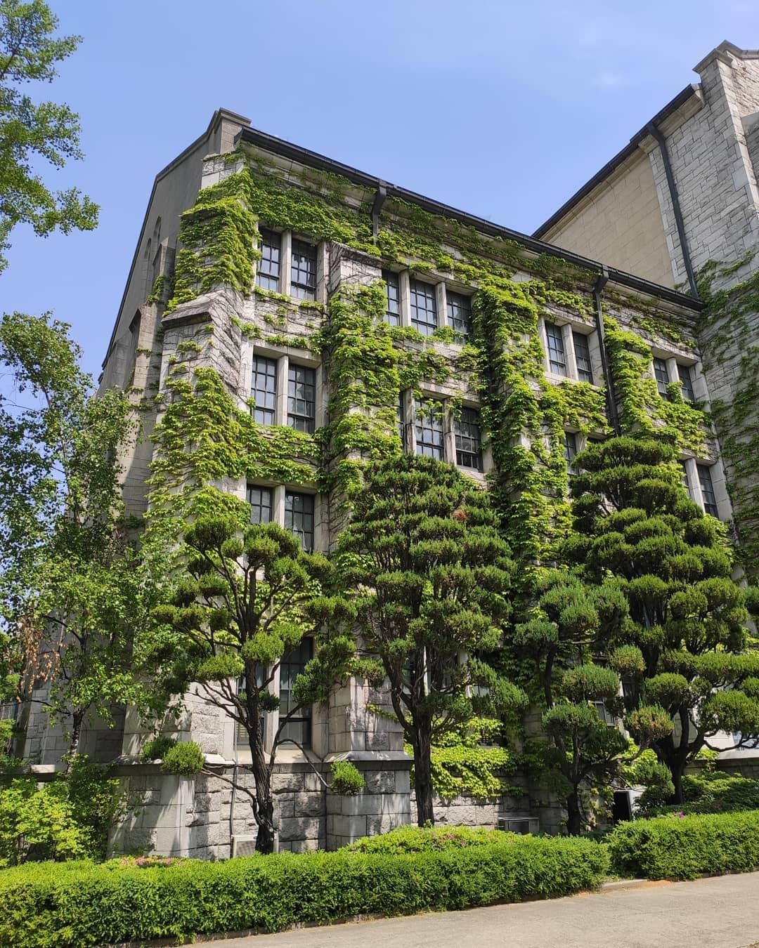 Du lich Han Quoc anh 11