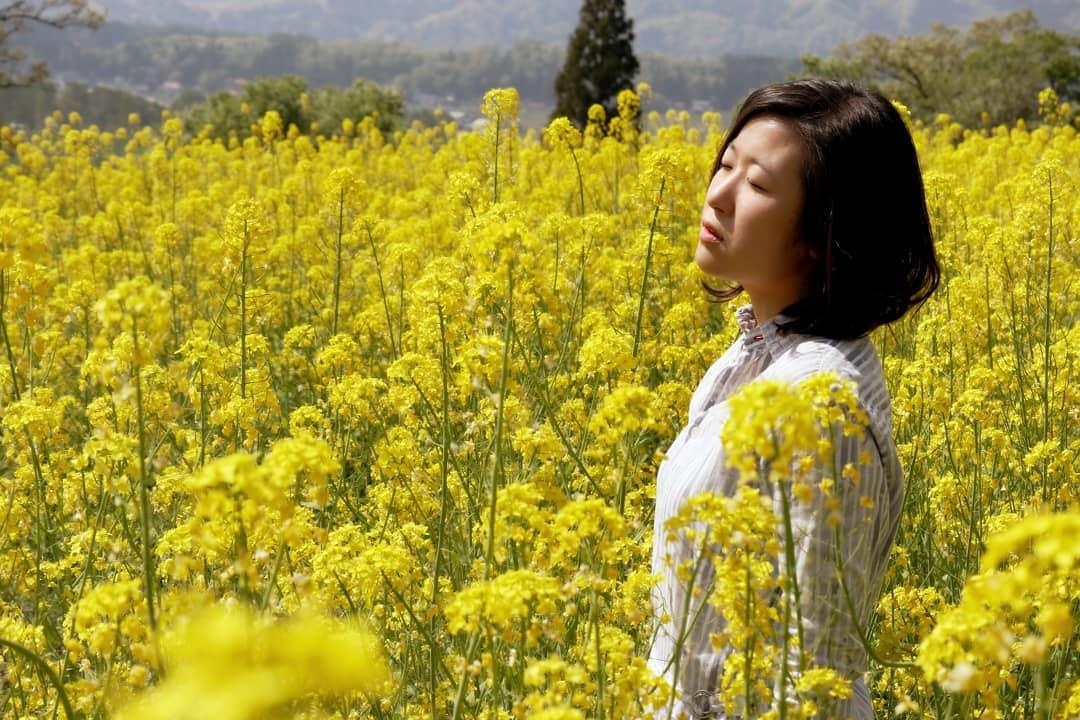 Canh dong cai vang Nhat Ban anh 10