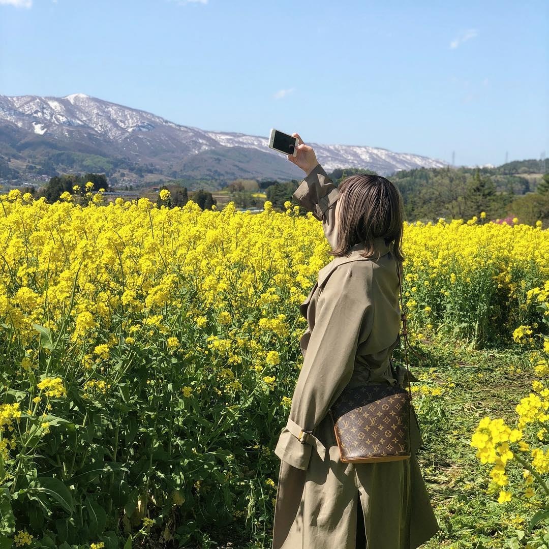 Canh dong cai vang Nhat Ban anh 11