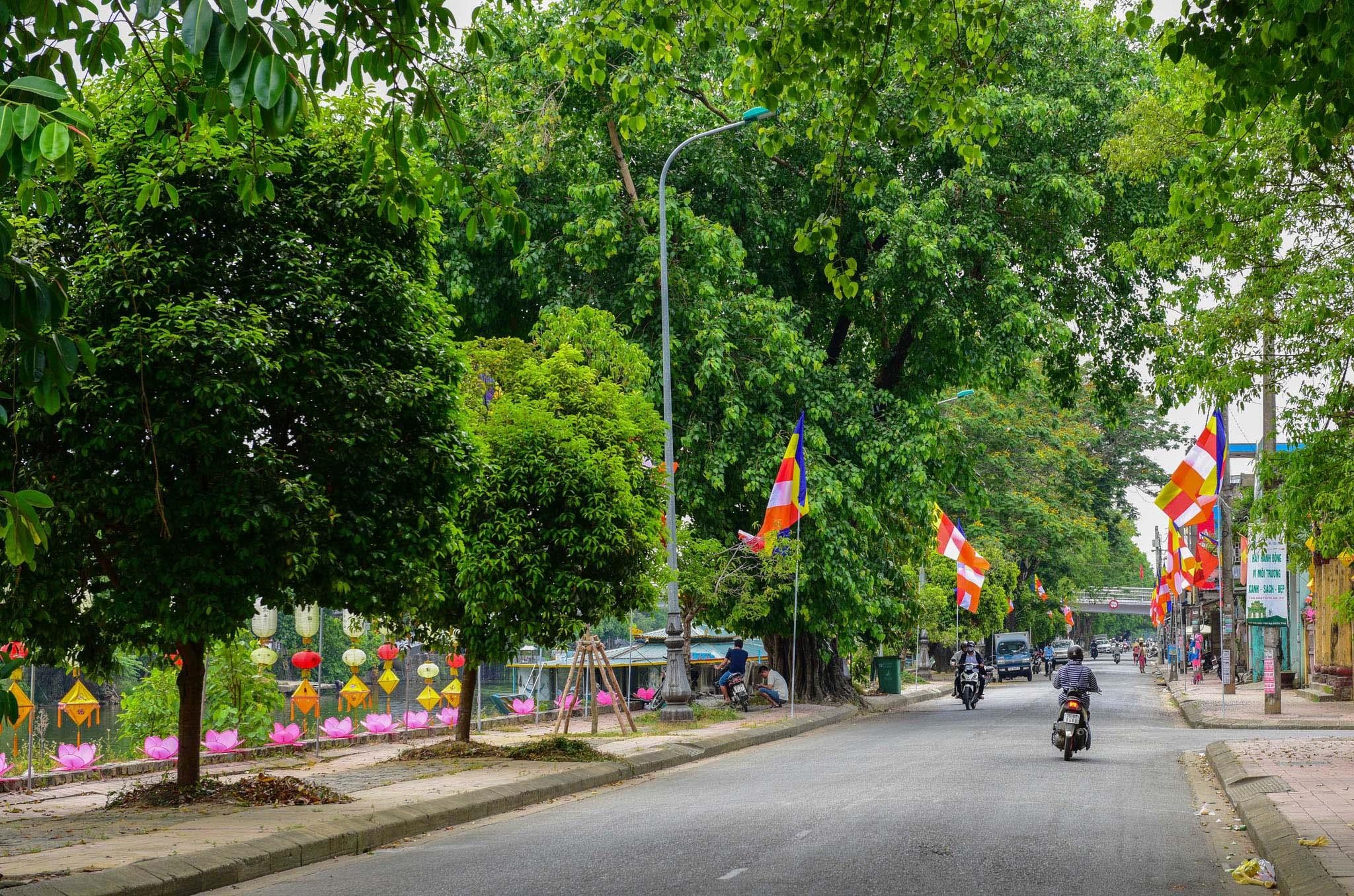 Le hoi Phat Dan Hue anh 11