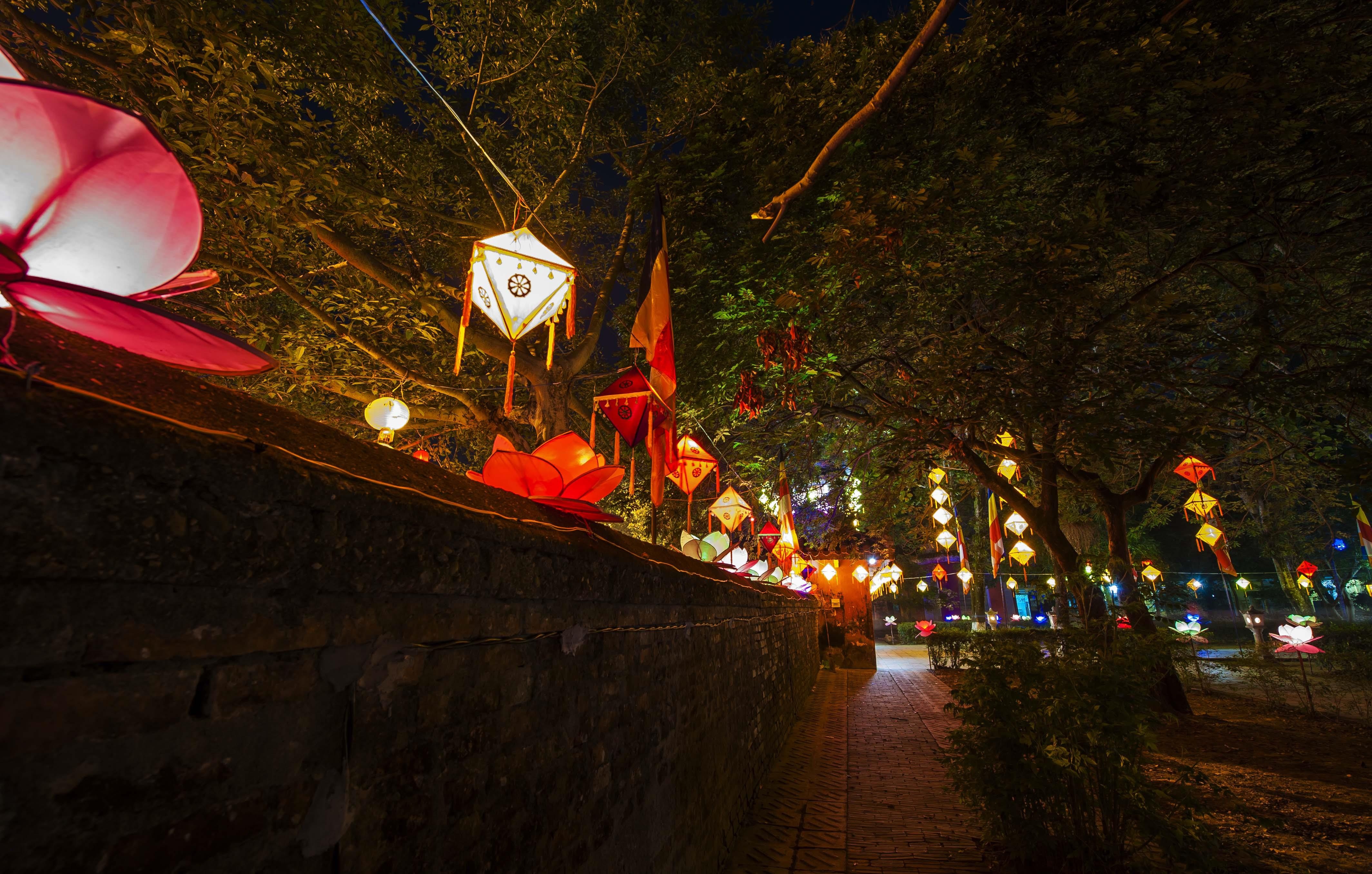 Le hoi Phat Dan Hue anh 6