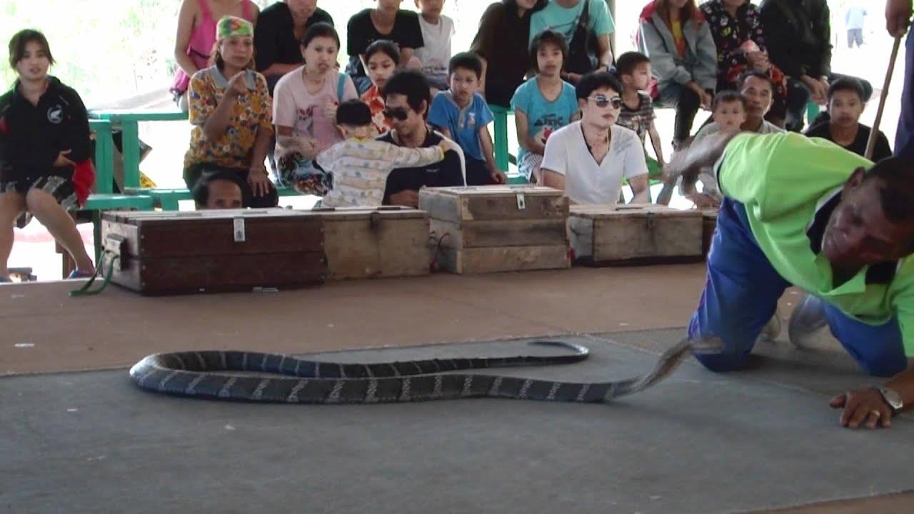 Ngoi lang ran doc o Thai Lan anh 6