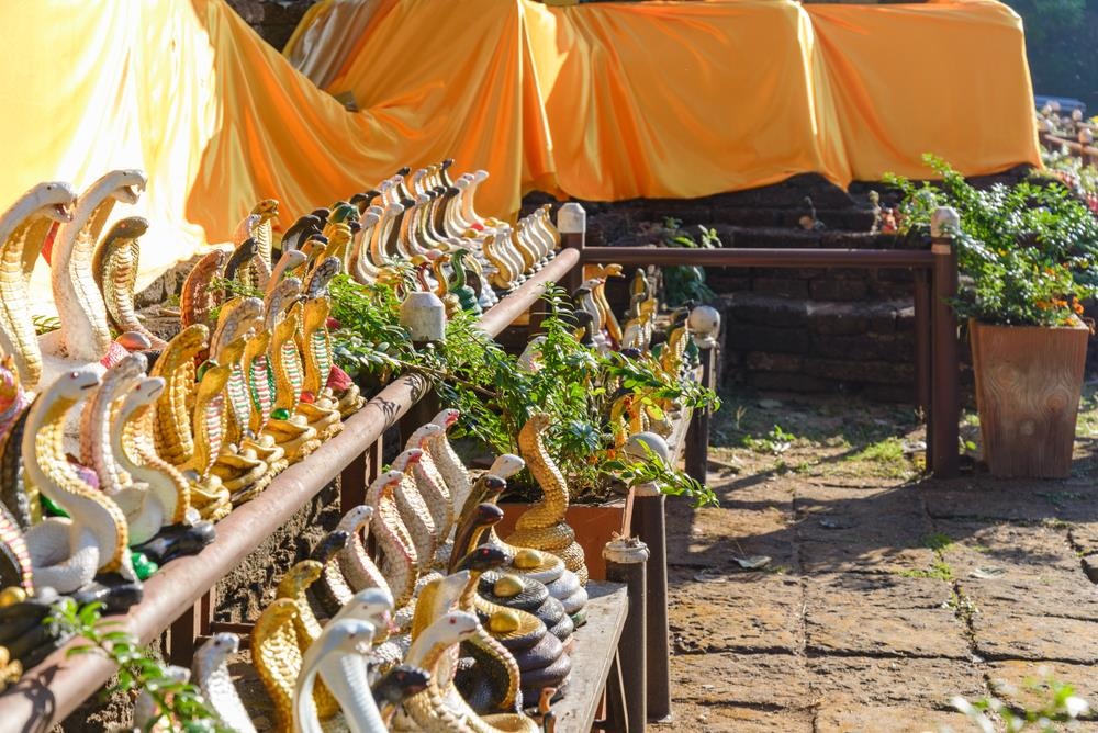 Ngoi lang ran doc o Thai Lan anh 1