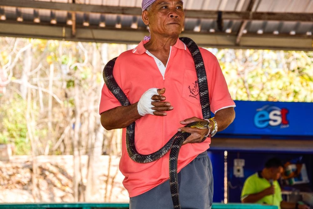 Ngoi lang ran doc o Thai Lan anh 7