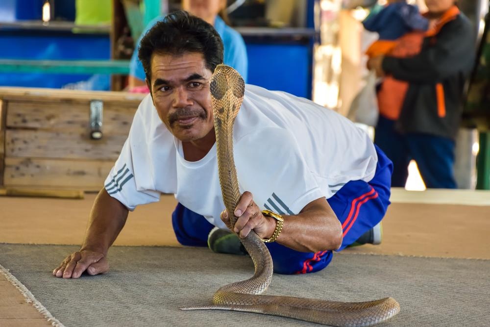 Ngoi lang ran doc o Thai Lan anh 4