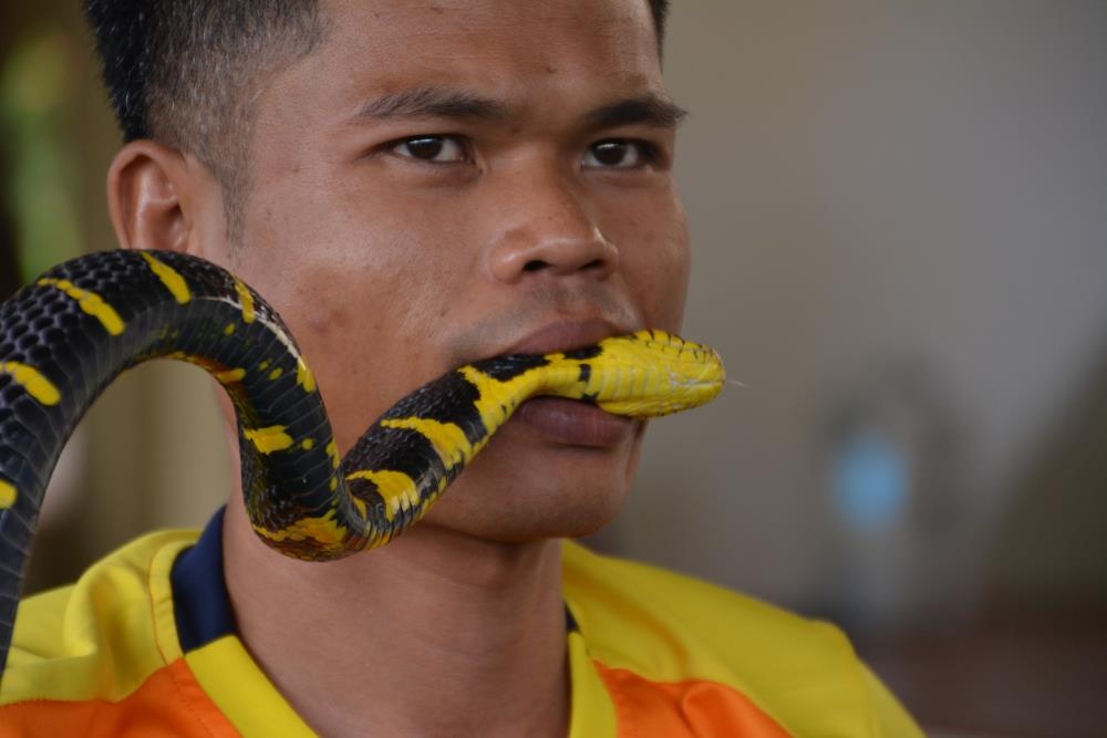 Ngoi lang ran doc o Thai Lan anh 8