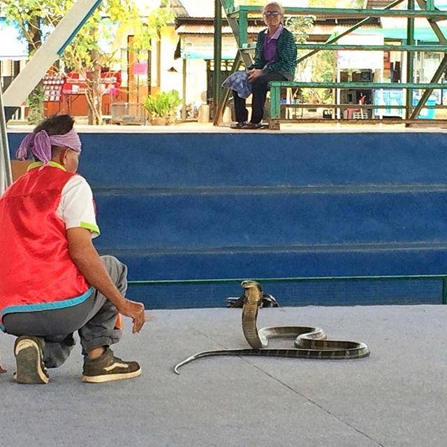 Ngoi lang ran doc o Thai Lan anh 9