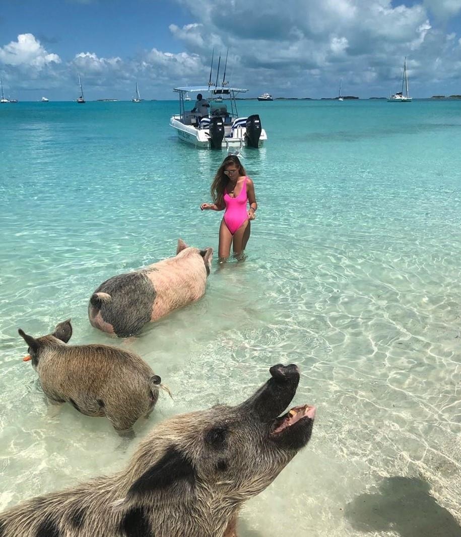 Thien duong danh cho heo anh 4