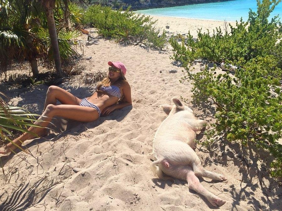 Thien duong danh cho heo anh 8