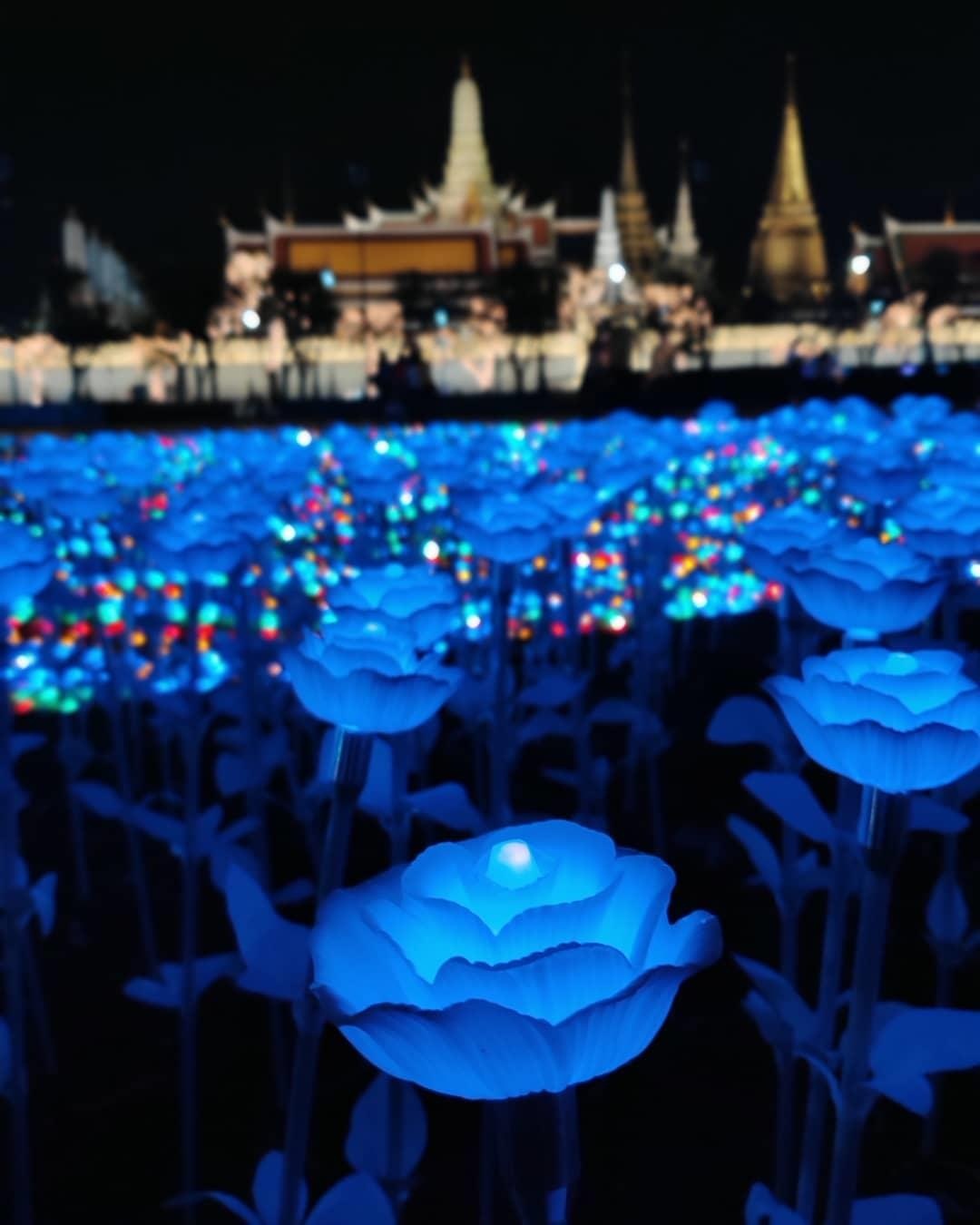 Du lich Thai Lan anh 5