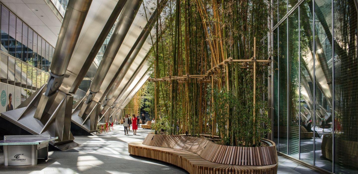 Thanh pho Pokemon anh 6