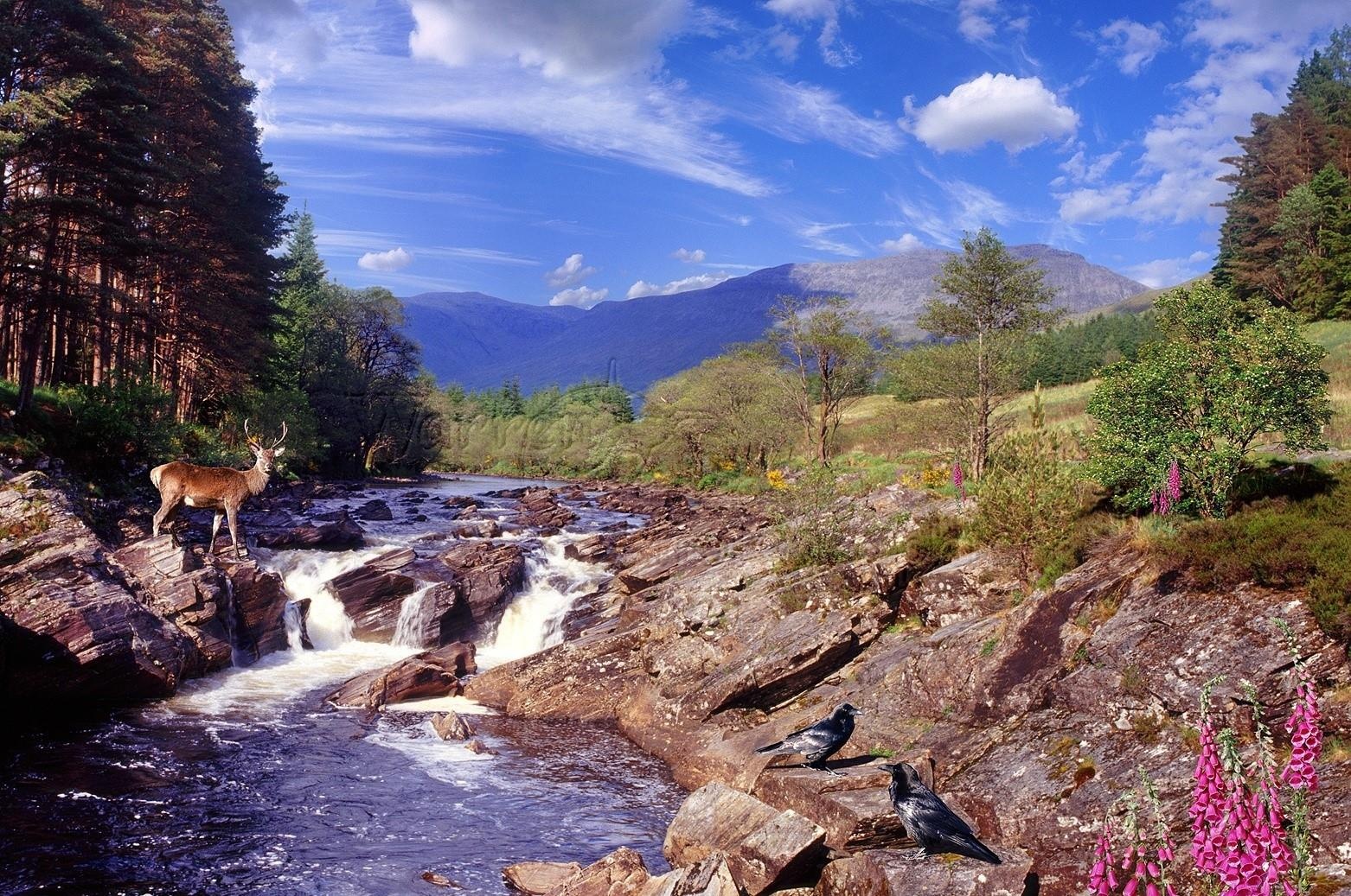 Thanh pho Pokemon anh 9