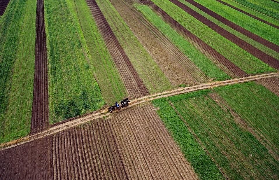 Que huong ma ca rong anh 15