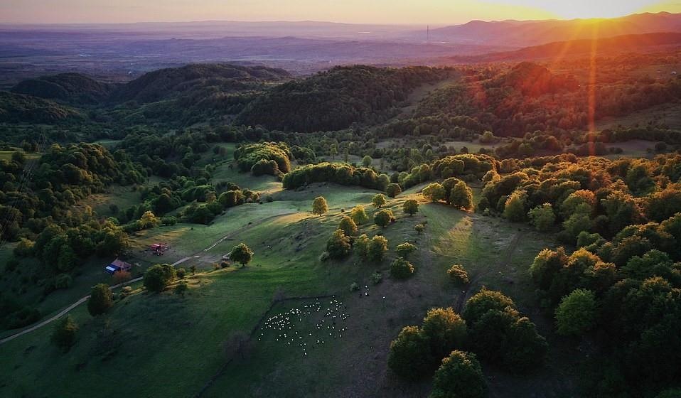 Que huong ma ca rong anh 16