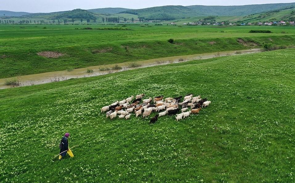 Que huong ma ca rong anh 17