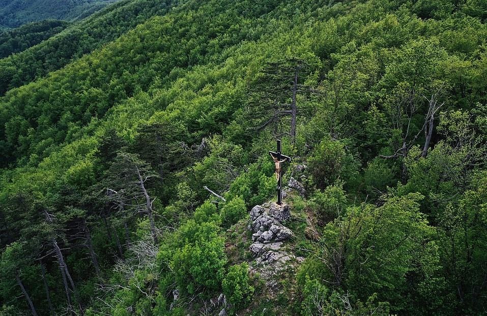 Que huong ma ca rong anh 18