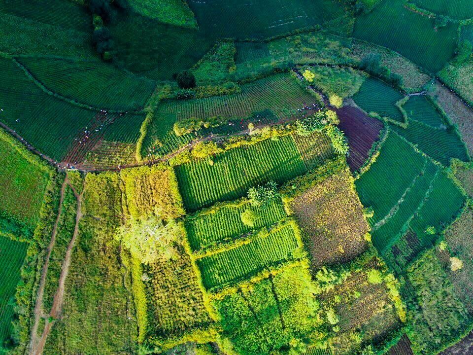 Du lich Gia Lai anh 5