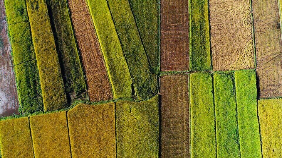 Du lich Gia Lai anh 2