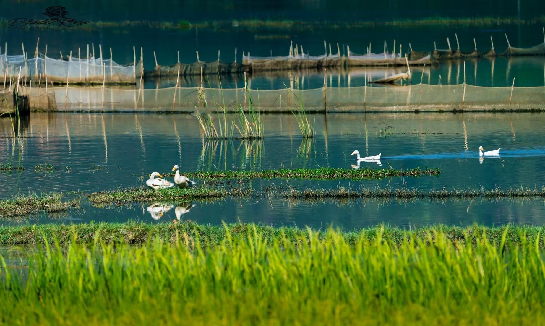 Du lich Gia Lai anh 18