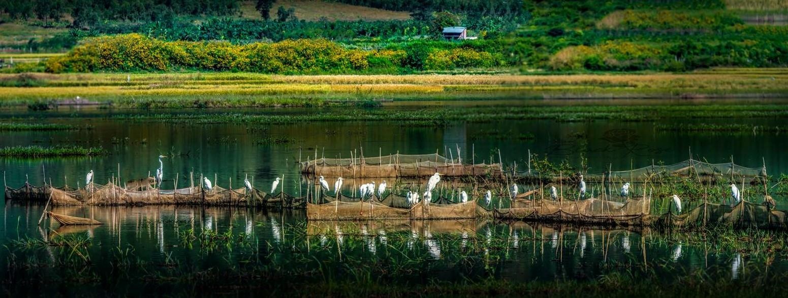 Du lich Gia Lai anh 19