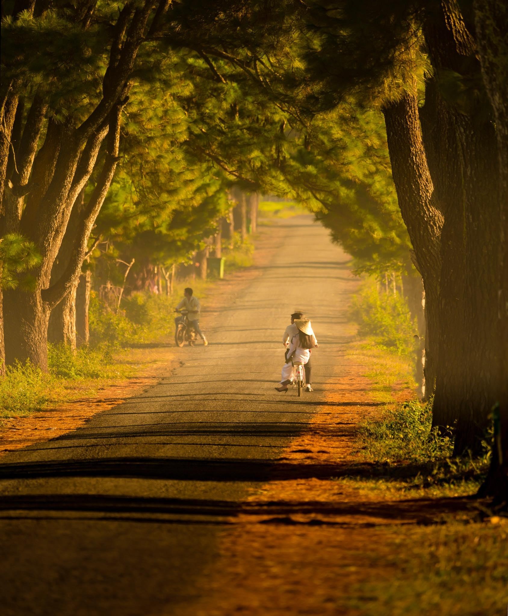 Du lich Gia Lai anh 11