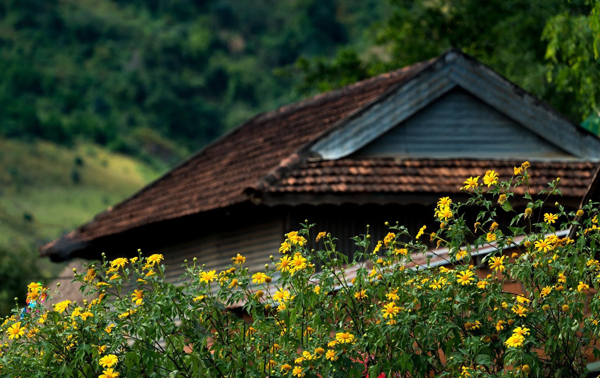 Du lich Gia Lai anh 20