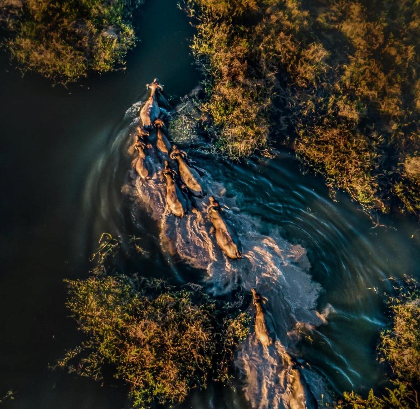 Du lich Gia Lai anh 16