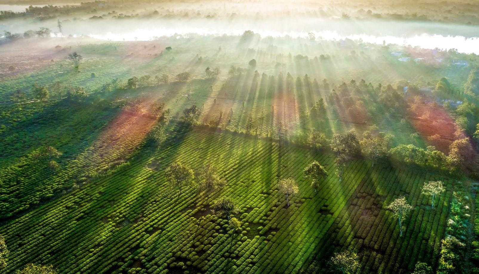 Du lich Gia Lai anh 10