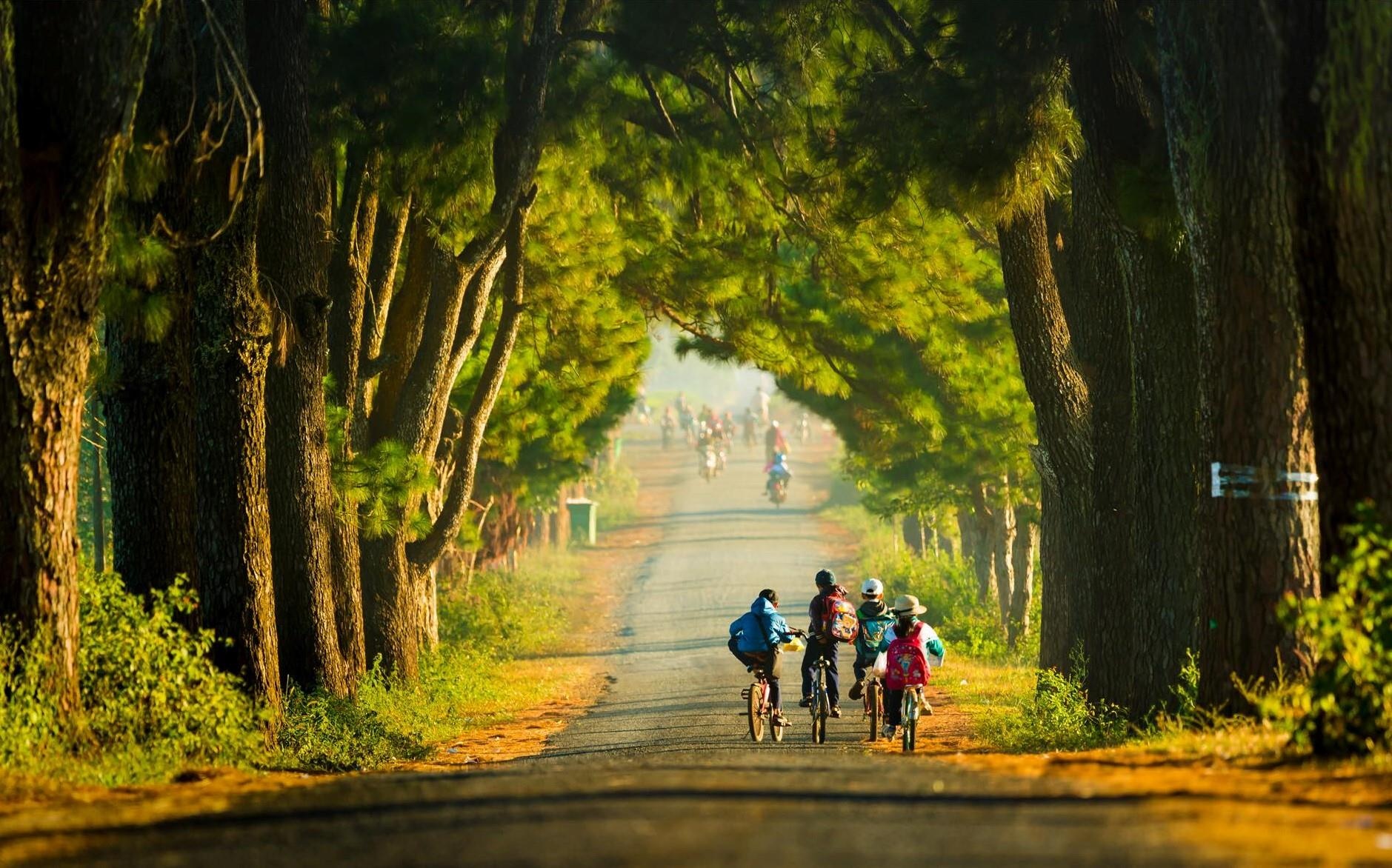 Du lich Gia Lai anh 12